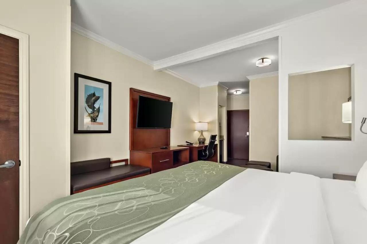 Comfort Suites Central Corpus Christi Luaran gambar